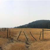 Kullagh Road Grasslands - Newman Dam & Log Barn 06 Entrance