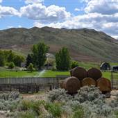 Bradner  - Black Canyon Ranch ALL - Buildings & Crop Fields  SPRING