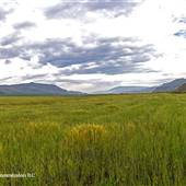 Mitchell Cattle Company Fields