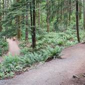 Canyon View Trail