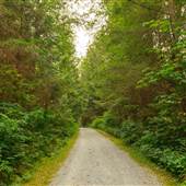 Stanley Park - Tunnel Trail