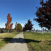 Willow Point Park