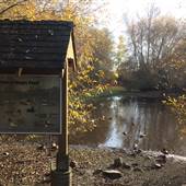 Kings Pond