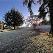 Lewis Park with FROST