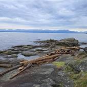 Orlebar Point