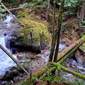Homesite Creek Falls Recreation Site