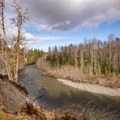 Bear Creek Nature Park