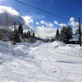 Blue River Residential Streets, Businesses & Services WINTER