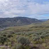 *CN Ranch OVERVIEW Spring