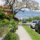 West 2nd Ave & Waterloo Street - Neighbourhood