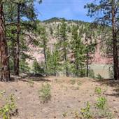 Van Winkle Flat - Water Treatment Compound, Forest & Beach along Fraser River