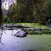 Glenbrook Ravine Park