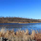 Bechers Pond Rec Site