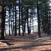 Tatlayoko Lake Northeast Recreation Site