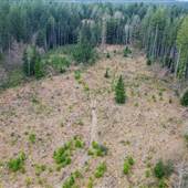 Parkside Drive Clearing