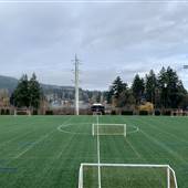 Goudy Field