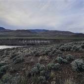 Martini Property - Viewpoints