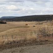 Chimney Lake Road