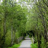 Galloping Goose trail