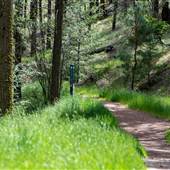 Kenna Cartwright Nature Park - Red Fox and Lower Doc Findlay Trails