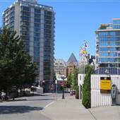 STREET - Burdett Avenue