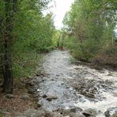 ELLIS CREEK GREENWAY