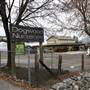 DOGWOOD NURSERY