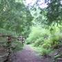 Hermit Trail