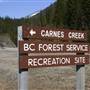 Carnes Creek Forestry Site