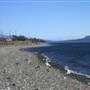Tyee Spit