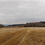 *Kullagh Road Grasslands - Below Treeline 03 NW Corner POV