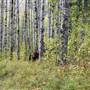 Seven Sisters Trail 1