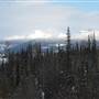 Bonaparte Plateau WINTER