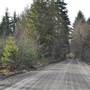 STREET - Shawnigan Lake Area