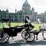 Carriage Ride