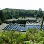 Quinsam Hatchery