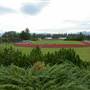 Vanier School Track