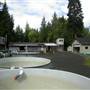 Quatse River Hatchery