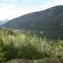 Thelwood Creek Valley