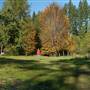 Japanese Town Park