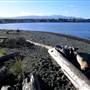 Parksville Beach (Spill Spot or Boat Launch)