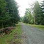 San Josef Bay (San Josef Heritage Park Campground)