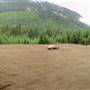 Compton Main Logging Road (Compton Main Parking Area)