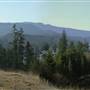 Utah Mine Site (Hillside overlooking Utah Mine and Rupert Inlet)