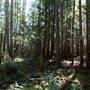 Bowser Ecological Reserve