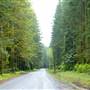 Camp Road