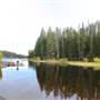 DEE LAKE