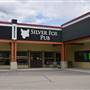 Silver Fox Pub - WINTER