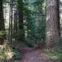 Elk Falls Provincial Park - Upper Area
