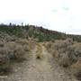 *Rose Hill Rd East Dirt Road through Desert Hills